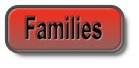 Mail: admin@tstuk.co.uk?subject=Family Class
